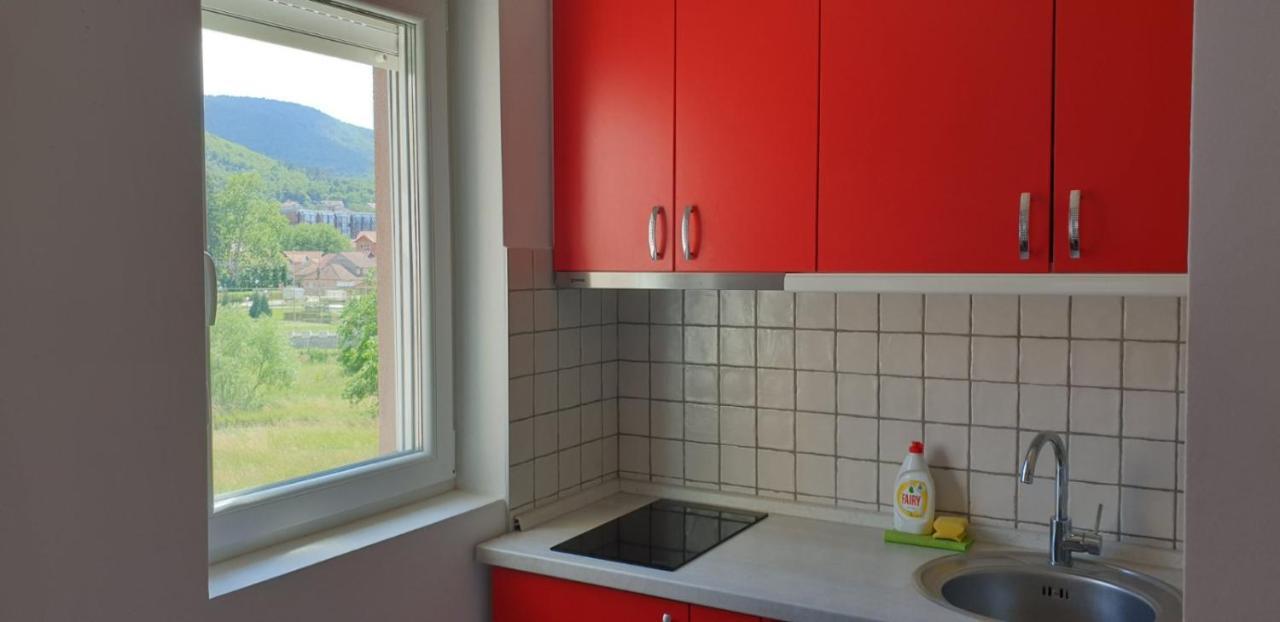 Lux Apartman Ristic 2 Сокобаня Екстер'єр фото