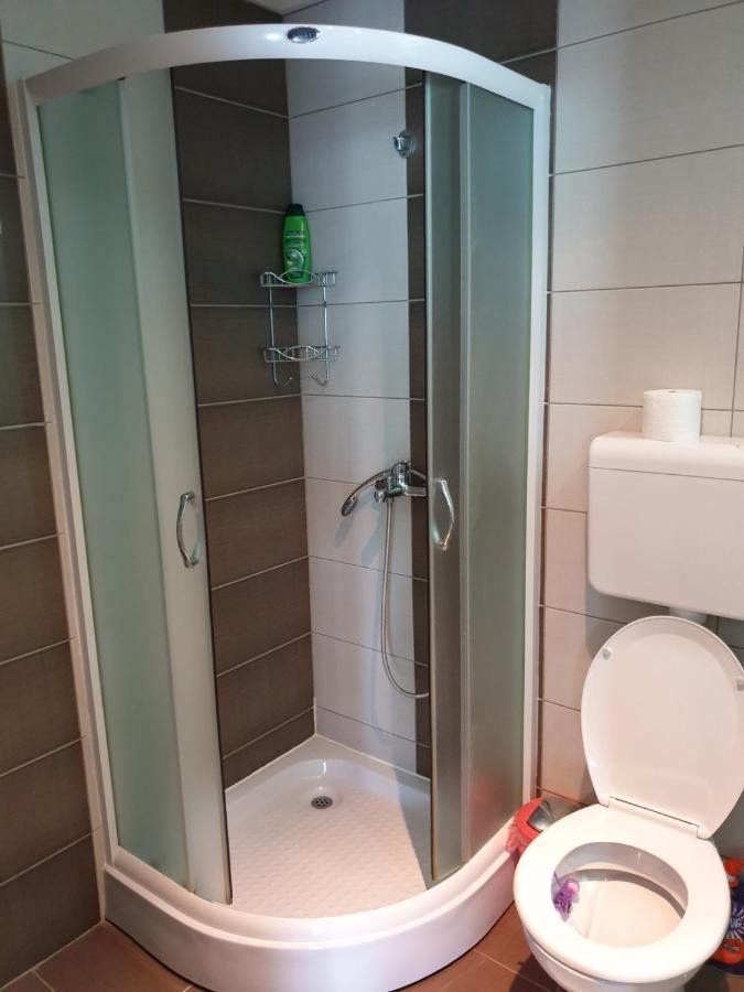 Lux Apartman Ristic 2 Сокобаня Екстер'єр фото